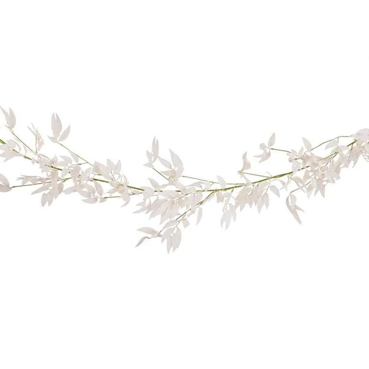 A Touch of Pampas - Pastel bleik ruscus blómalengja