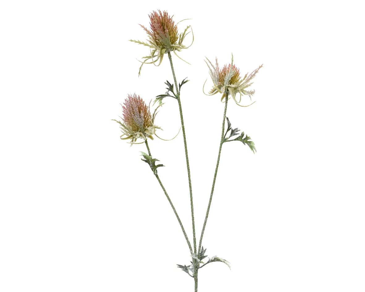 Gerviblóm Thistle grein