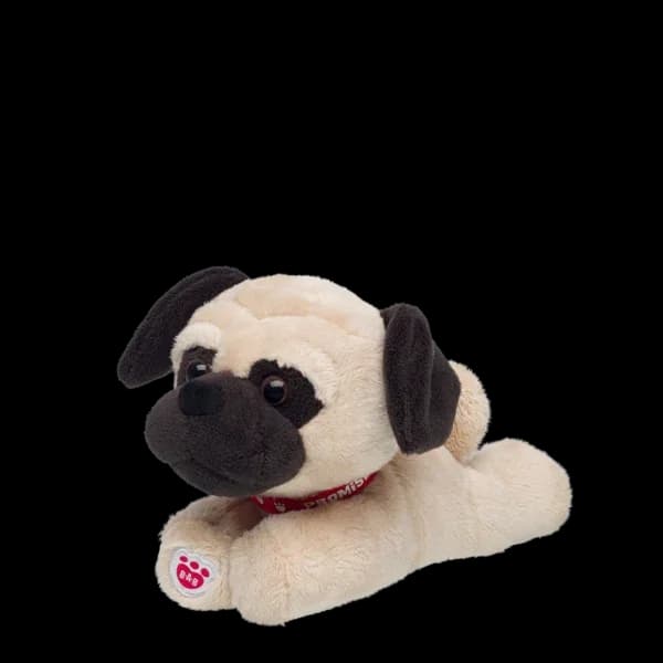 Mini Beans Promise Pets Pug