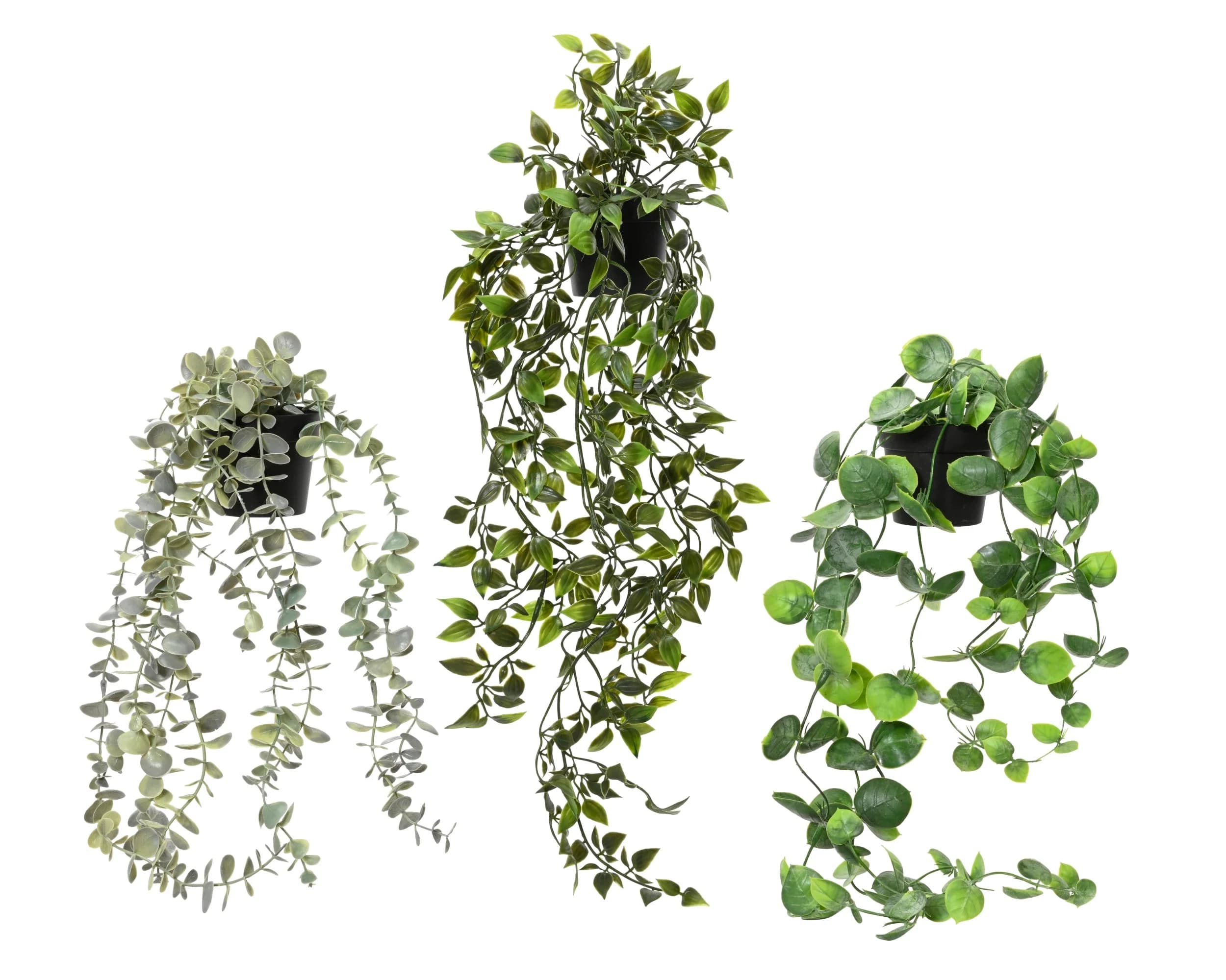 Hengiplanta