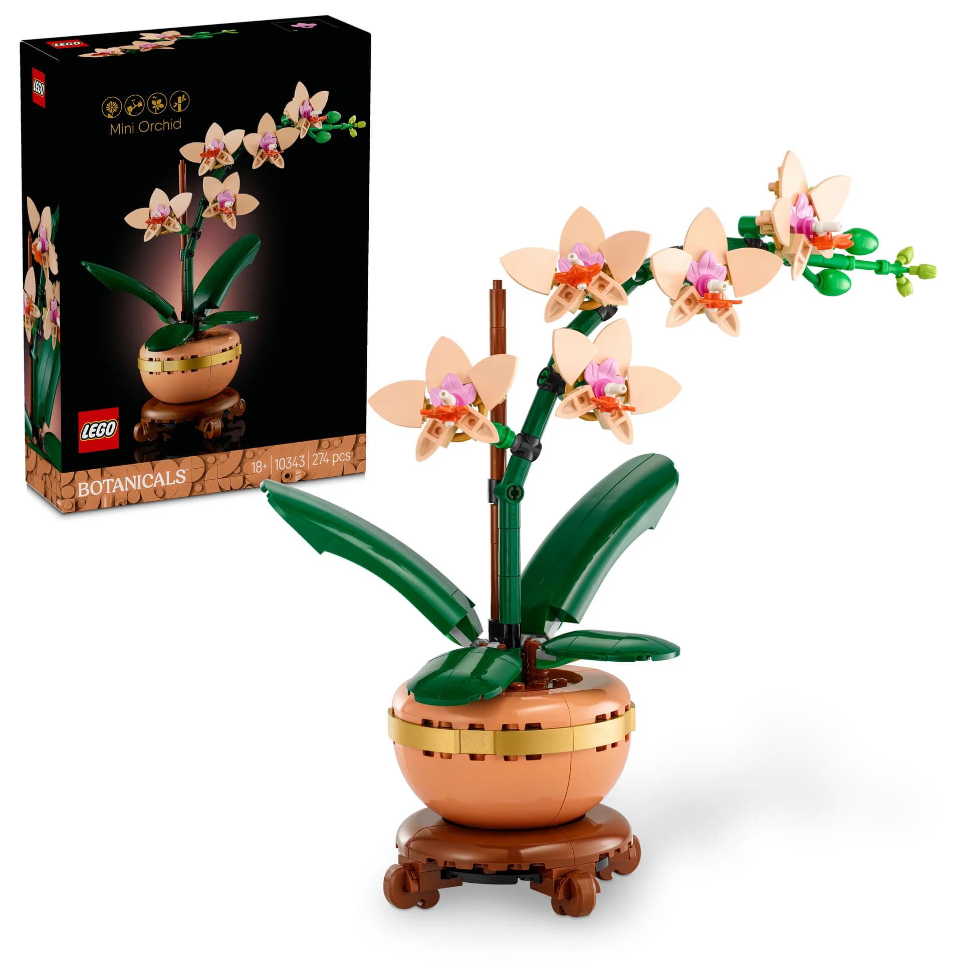 BOTANICALS Lítil Orkídea