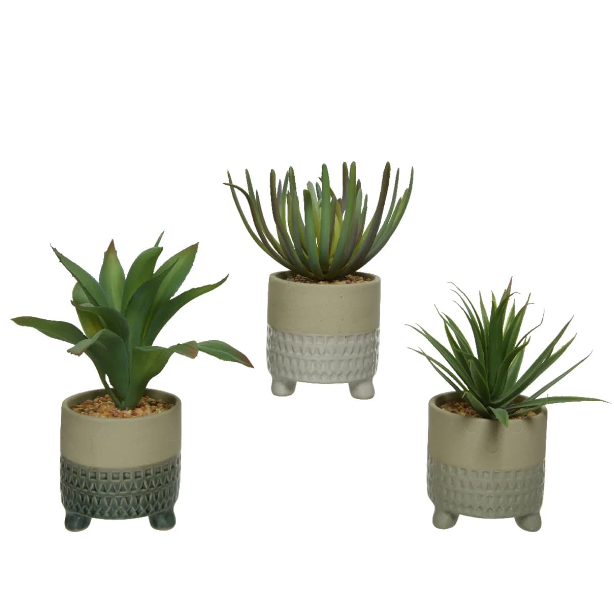 Gerviblóm Succulent í potti 3 litir