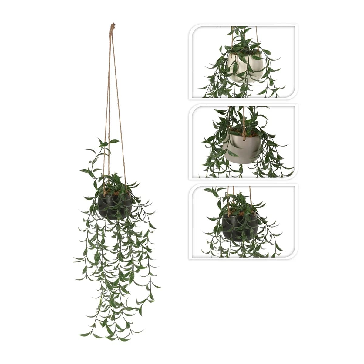 Gerviplanta hangandi í keramik potti